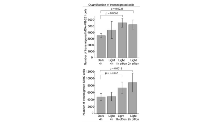 Transmigration efficiency of engineered cells